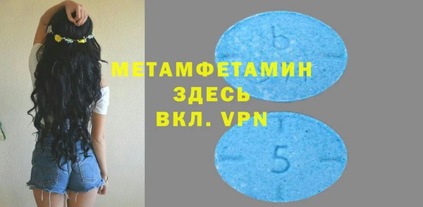сатива Зеленокумск