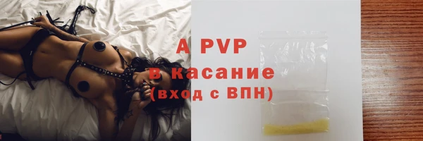 сатива Зеленокумск