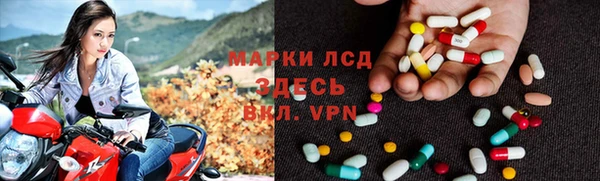 сатива Зеленокумск