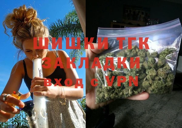 сатива Зеленокумск