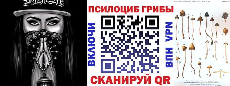 Купить  Новокубанск  Псилоцибиновые грибы ЛСД 