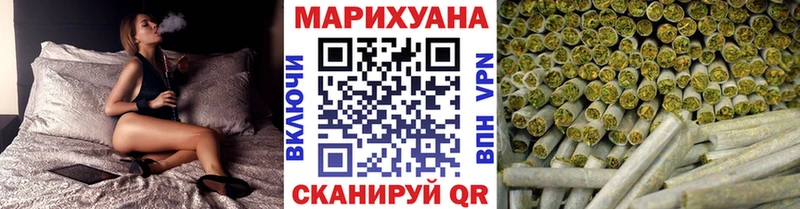 Конопля сатива Новокубанск